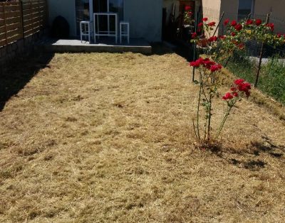 Chambre N°2 – Maison moderne 4 chambres tout confort avec jardin