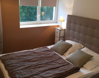 Gîte meublé 1 à 2 personnes proche centrale nucléaire Chinon/Avoine