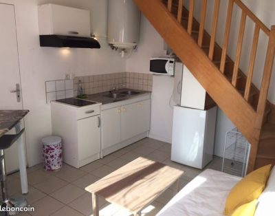 Gîte meublé 1 à 2 personnes proche centrale nucléaire Chinon/Avoine