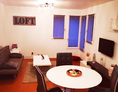 Appartement gîte spacieux