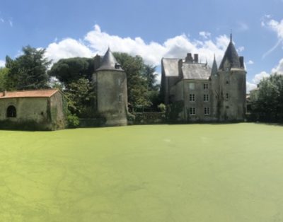 Chateau de la Preuille : Chambre d’hôte 2019