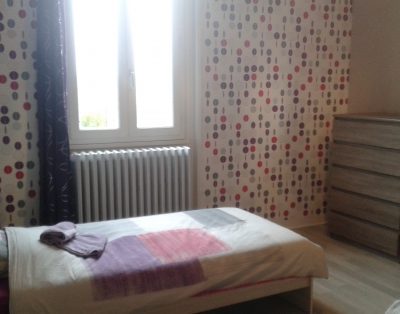 Gite proche CNPE CHINON/AVOINE