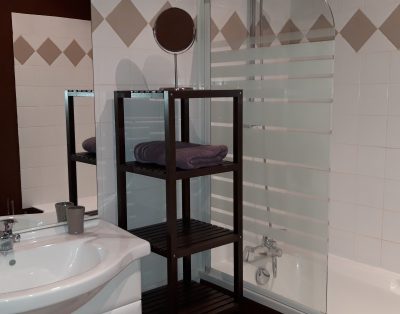 T3 meublé, coeur de ville