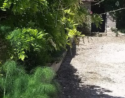 Des prés au Prainet “César”