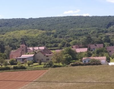 Des prés au Prainet “César”