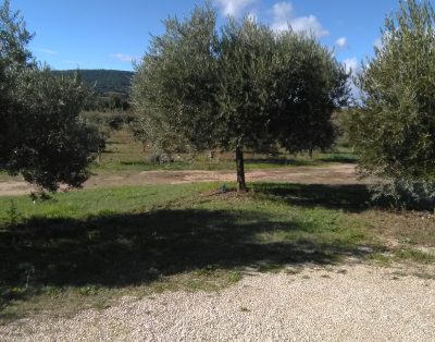 Gite Vaison la Romaine entre vignes,oliviers,chênes truffiers