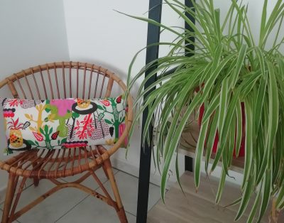 T2 cosy et confortable à 2 pas du site thermal et touristique d’Amnéville-les-Thermes