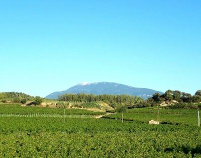 Gite “lavande” Vue sur le Mont Ventoux