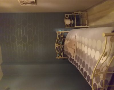 Gite proche CNPE CHINON/AVOINE