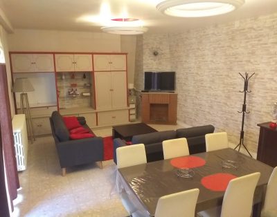 Gite proche CNPE CHINON/AVOINE