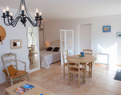 Proche Bédoin gîte 3* vue exeptionnelle sur Mt Ventoux+ priscine privée
