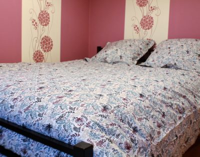 Centrale Gravelines, Travail, stages, vacances, bénévolat…